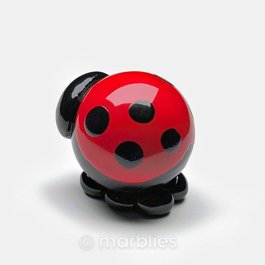 Ladybug – NameFrames