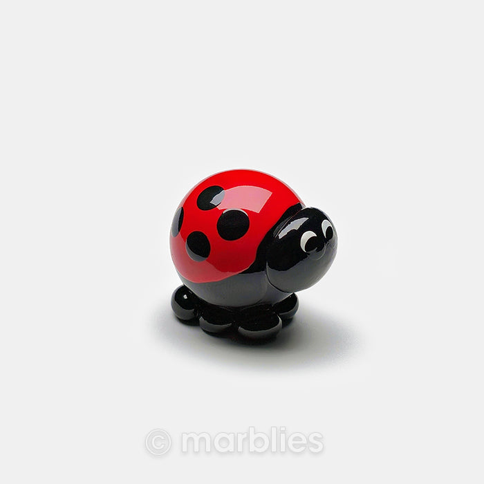 Ladybug – NameFrames